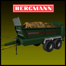 Bergmann