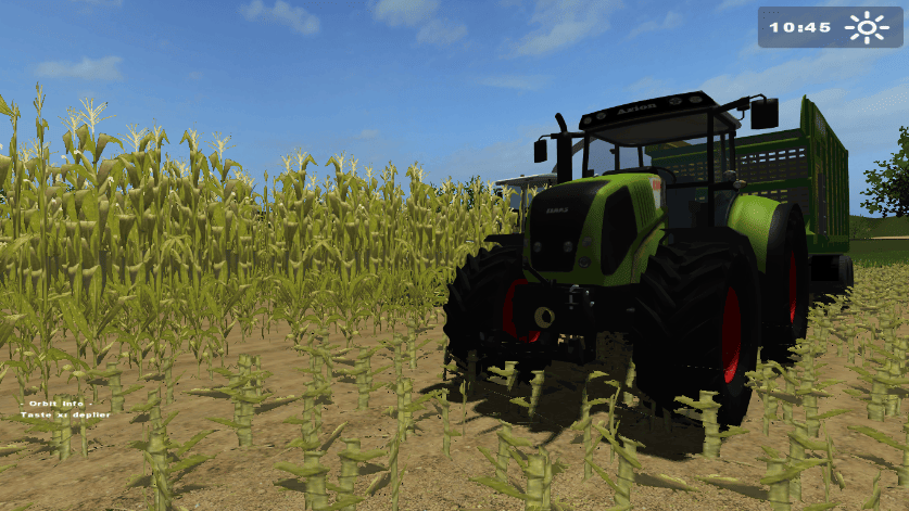 Maize texture